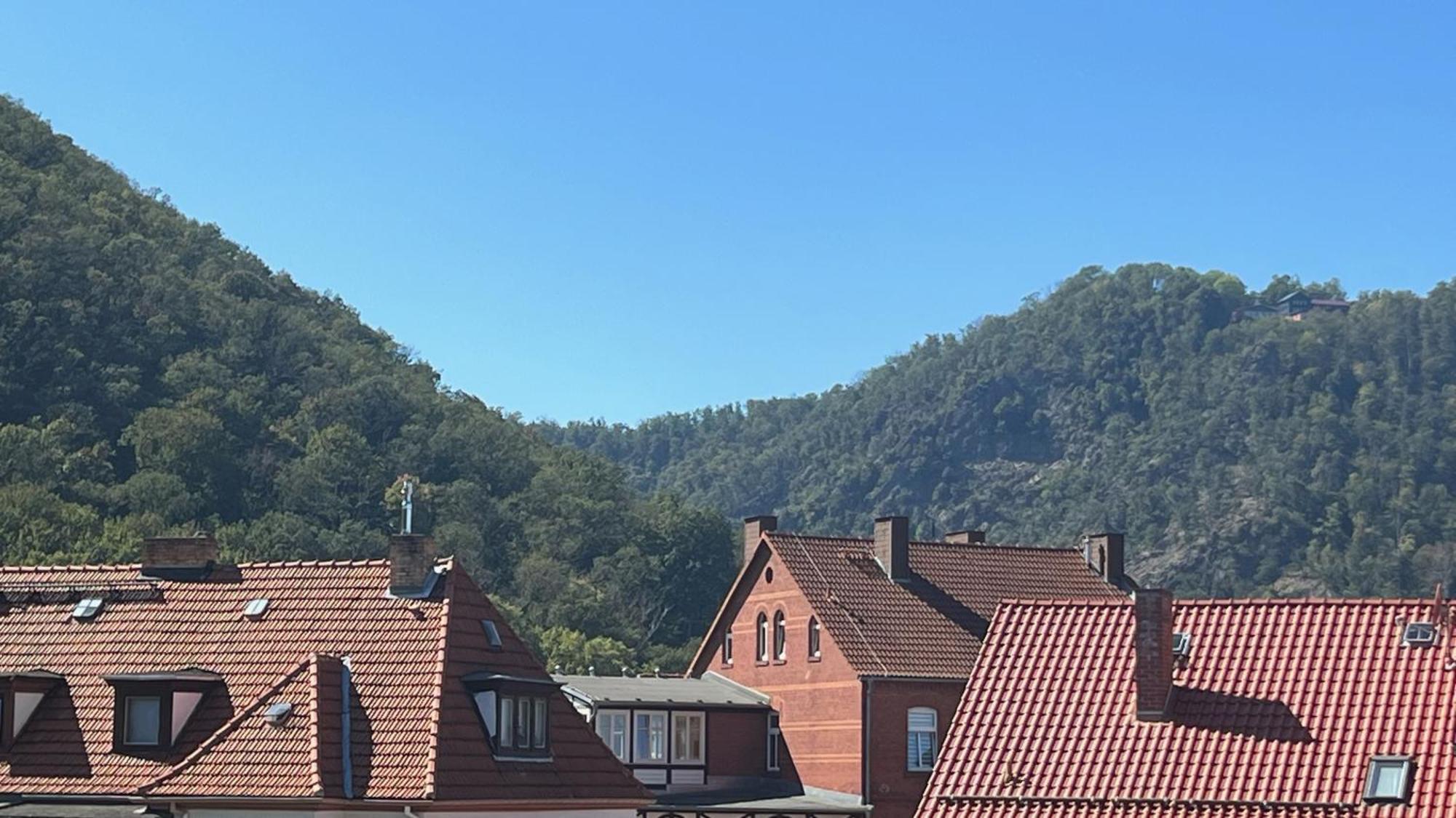 Rosstrappenblick Leilighet Thale Eksteriør bilde